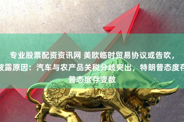 专业股票配资资讯网 美欧临时贸易协议或告吹，美媒披露原因：汽车与农产品关税分歧突出，特朗普态度存变数