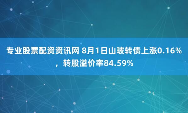 专业股票配资资讯网 8月1日山玻转债上涨0.16%,转股溢价率84.59%