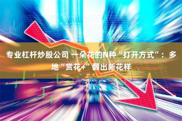 专业杠杆炒股公司 一朵花的N种“打开方式”：多地“赏花+”翻出新花样